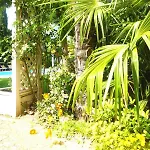 Hotel Anatol 4*