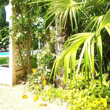 Hotel Anatol 4*
